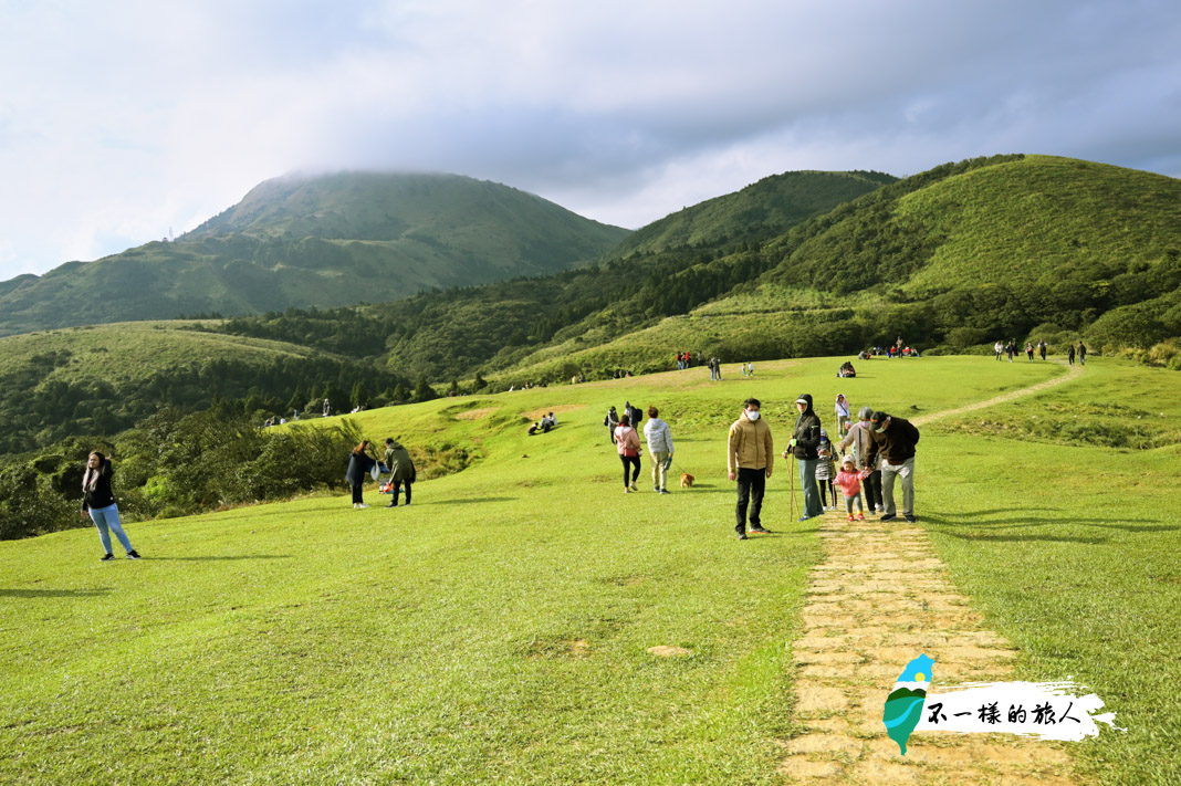 陽明山 擎天崗環形步道 全面開放 最新完整步道現況看這裡 不一樣的旅人