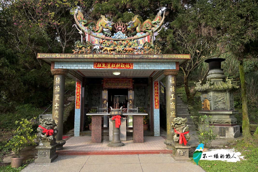 陽明山 擎天崗大草原 交通 步道攻略 看水牛 欣賞絕美的草原景緻 不一樣的旅人