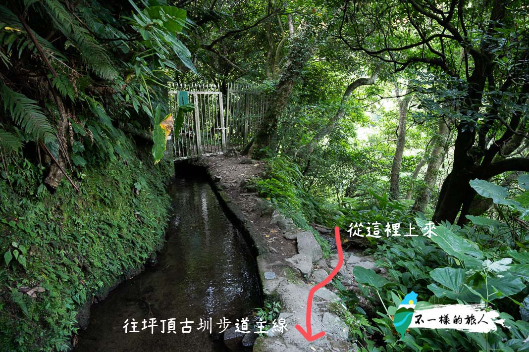 坪頂古圳水源鐵柵欄