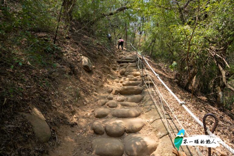 【苗栗】火炎山步道攻略|交通、登山口、路線解析,欣賞台版大峽谷之美 - 不一樣的旅人