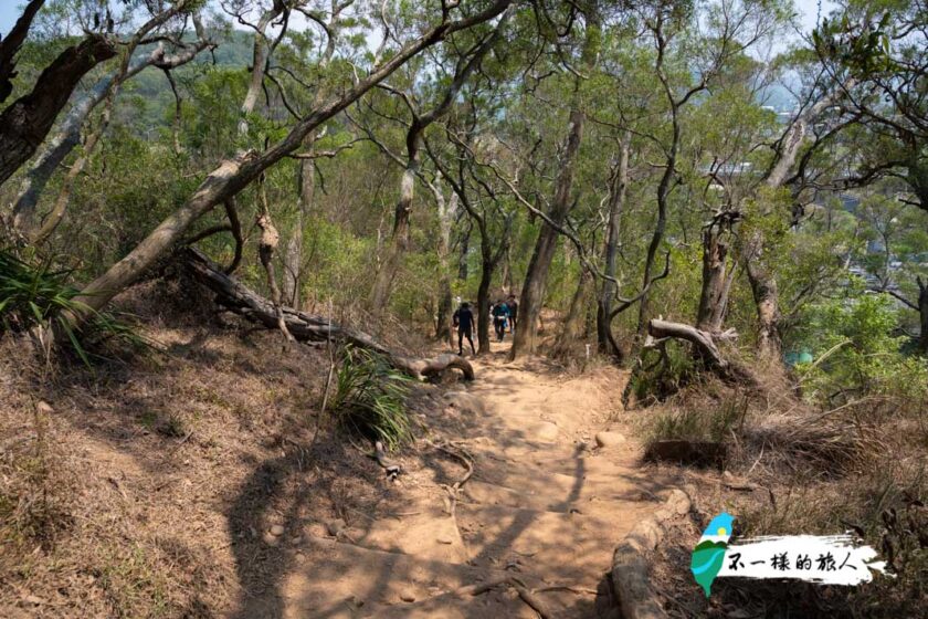 【苗栗】火炎山步道攻略|交通、登山口、路線解析,欣賞台版大峽谷之美 - 不一樣的旅人