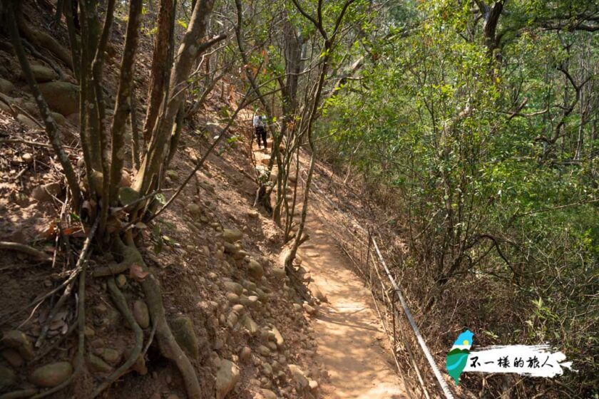 【苗栗】火炎山步道攻略|交通、登山口、路線解析,欣賞台版大峽谷之美 - 不一樣的旅人