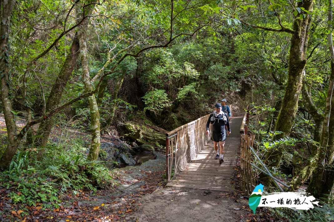 司馬庫斯巨木步道