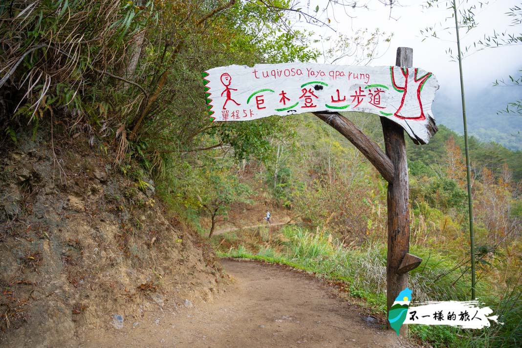 司馬庫斯巨木步道登山口