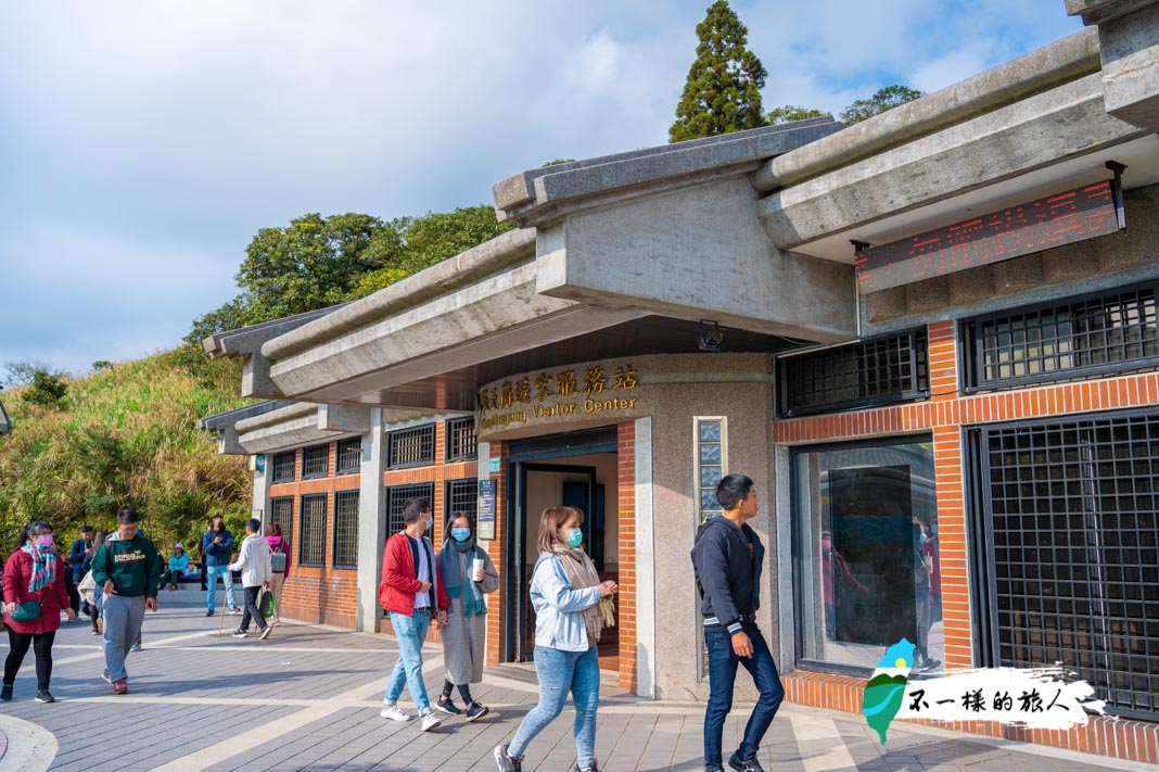 陽明山 擎天崗大草原 交通 步道攻略 看水牛 欣賞絕美的草原景緻 不一樣的旅人