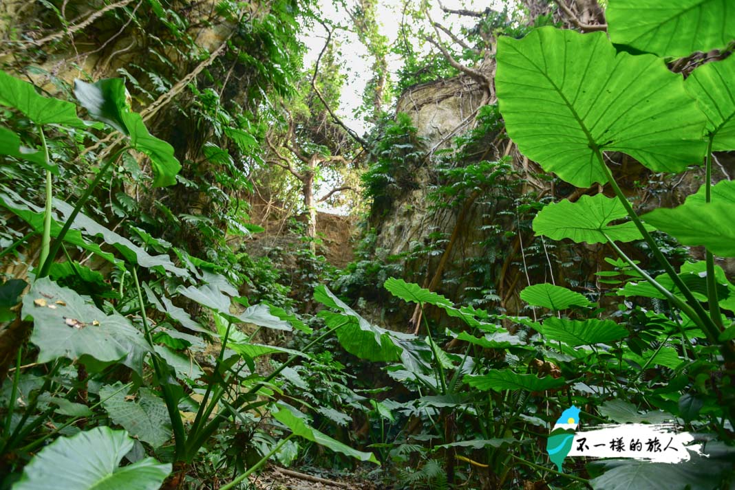 山豬溝生態步道