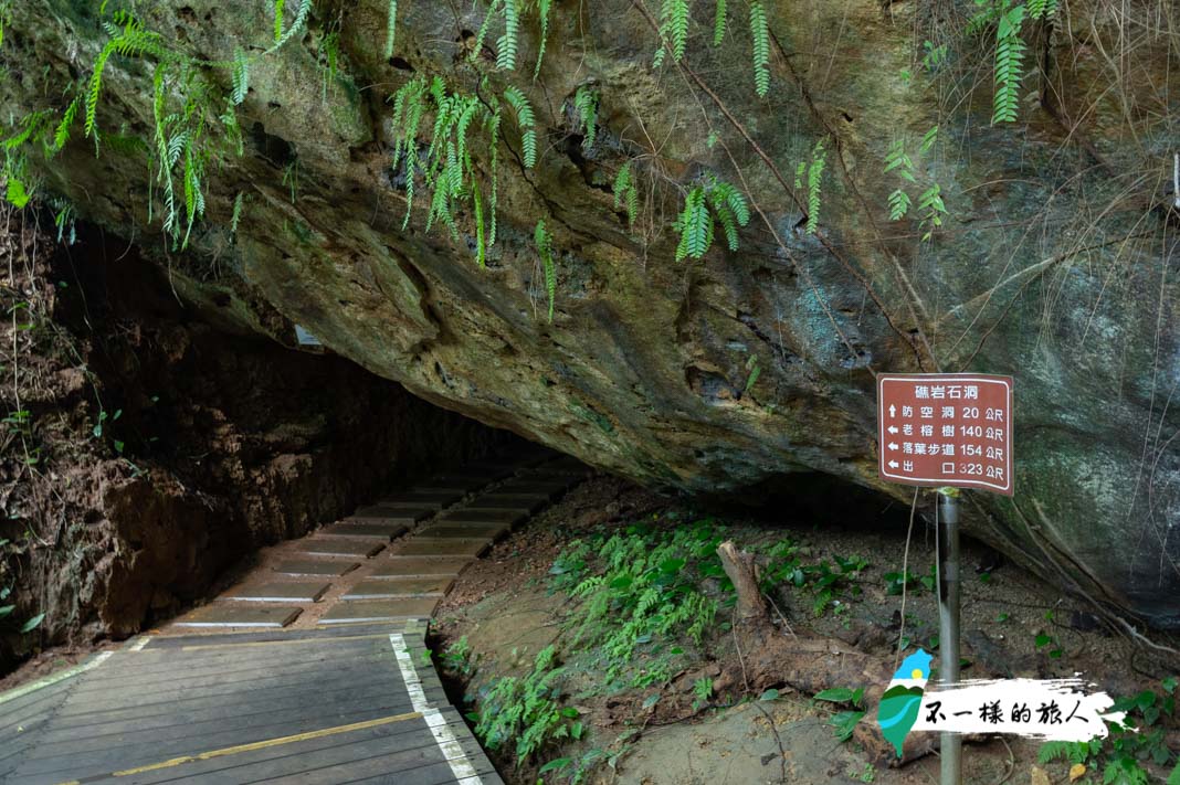 山豬溝生態步道-礁岩石洞