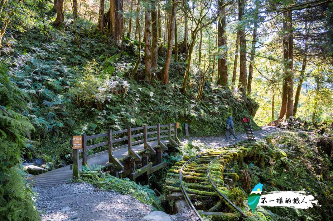 太平山景點｜見晴懷古步道