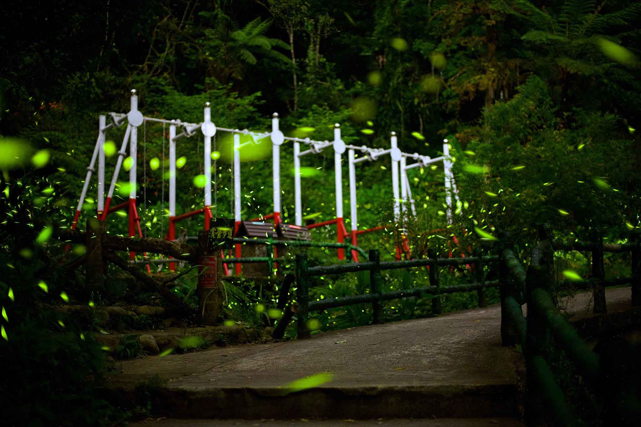 台北螢火蟲景點-烏來雲仙樂園