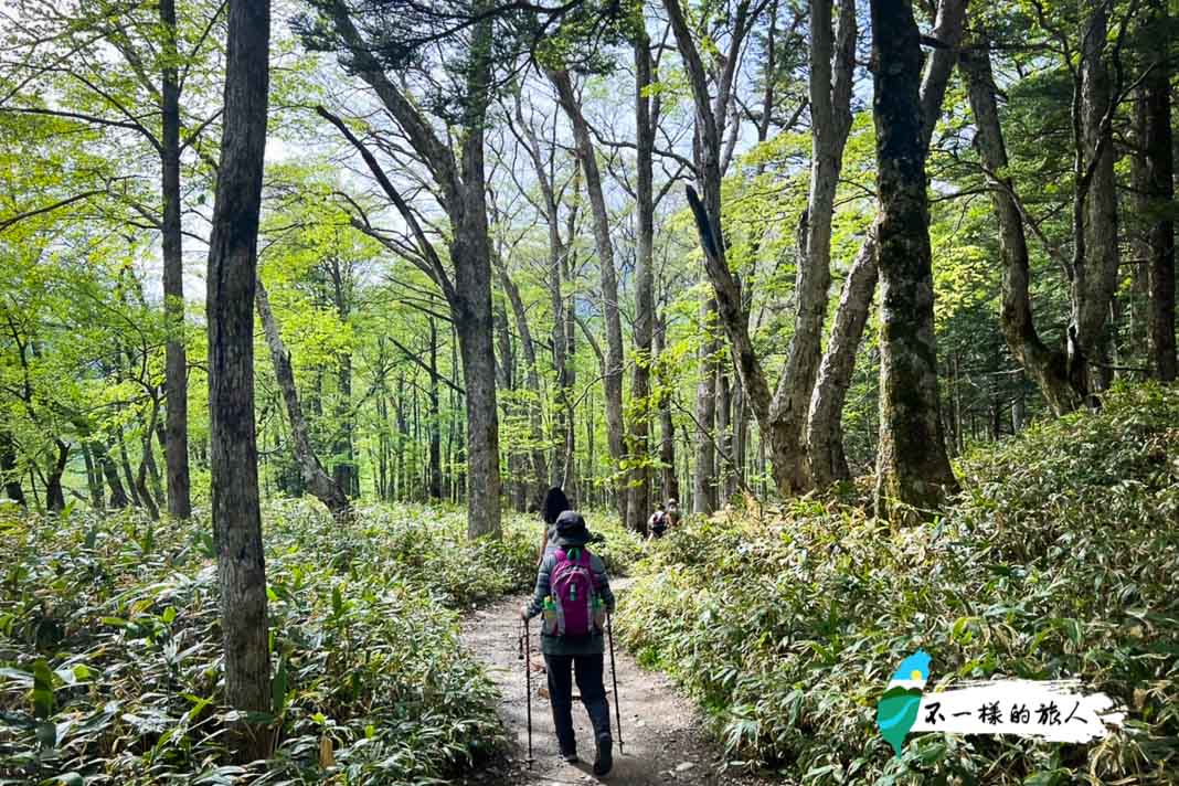 長野上高地左岸步道