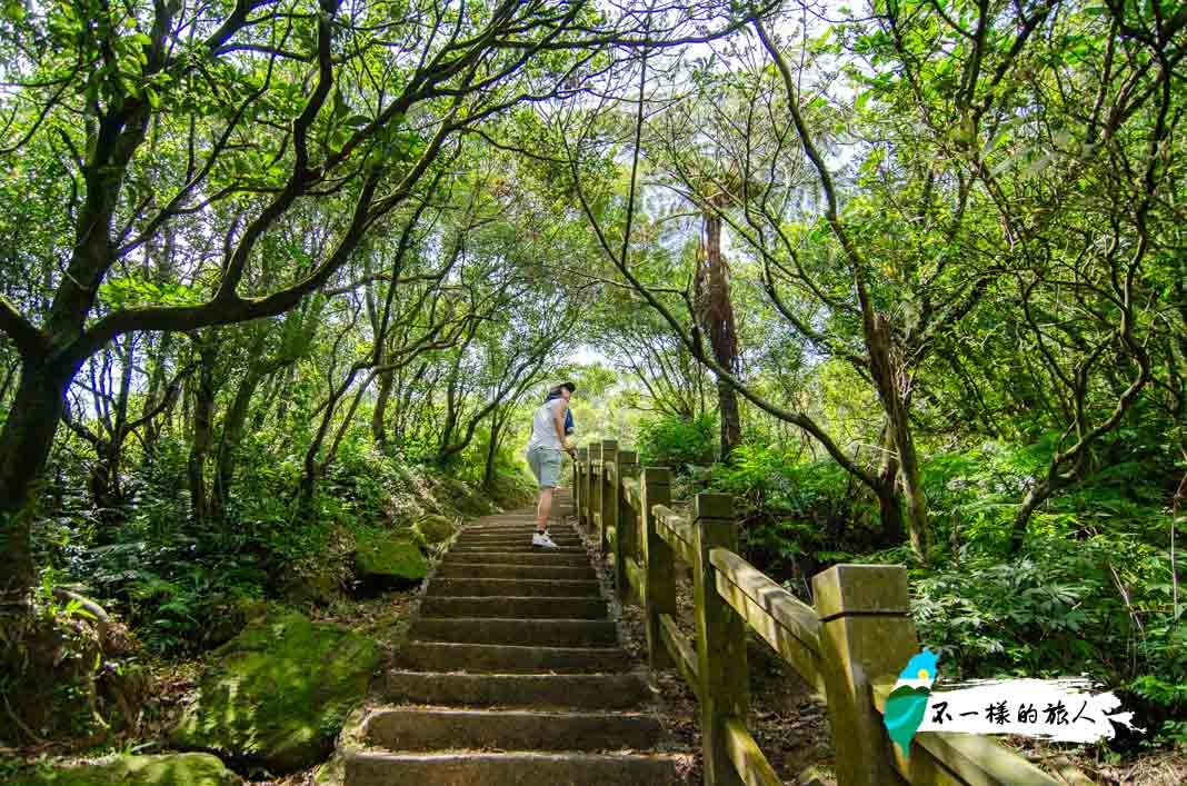 桃源谷步道（內寮線）