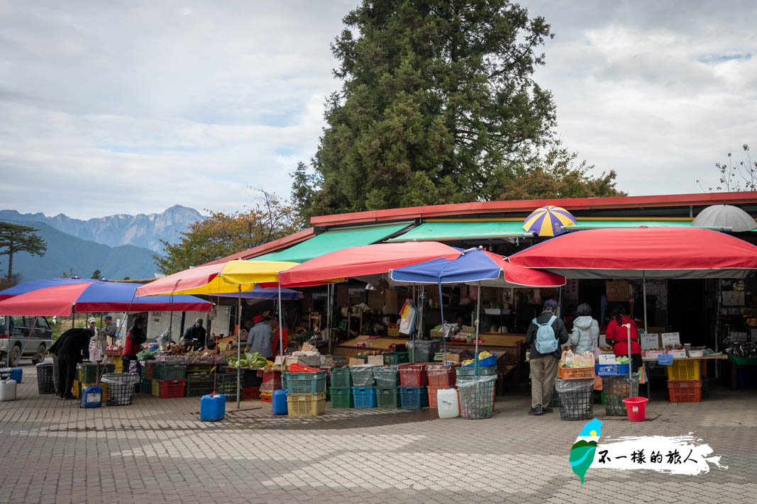 福壽山農場-市集