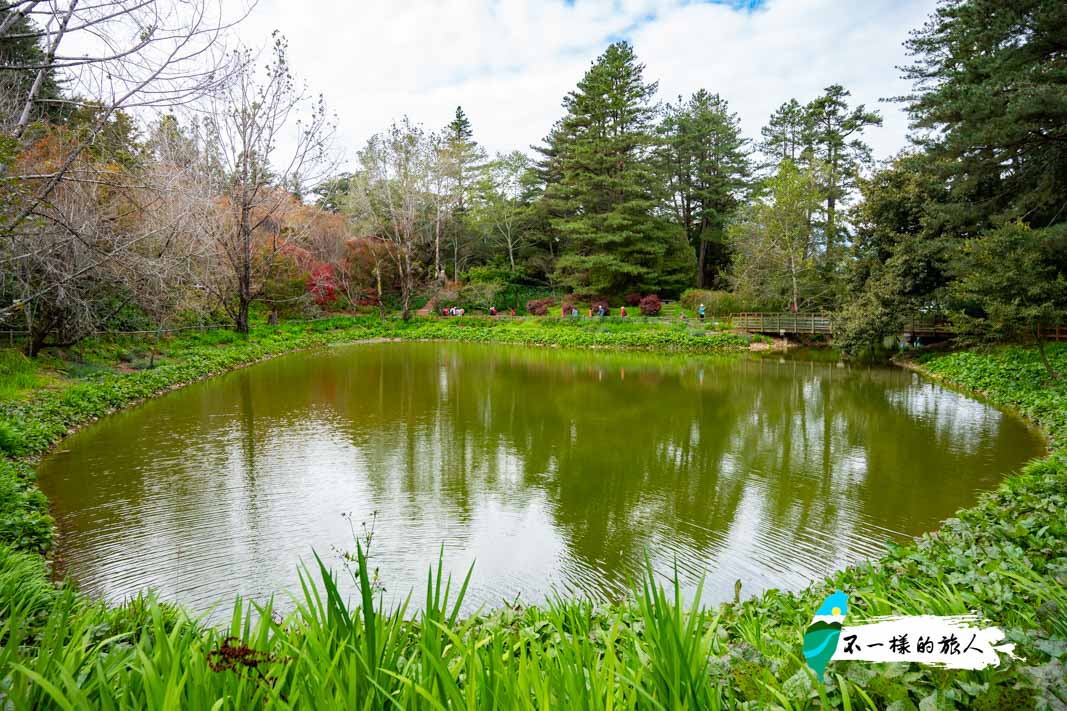 福壽山農場-鴛鴦湖