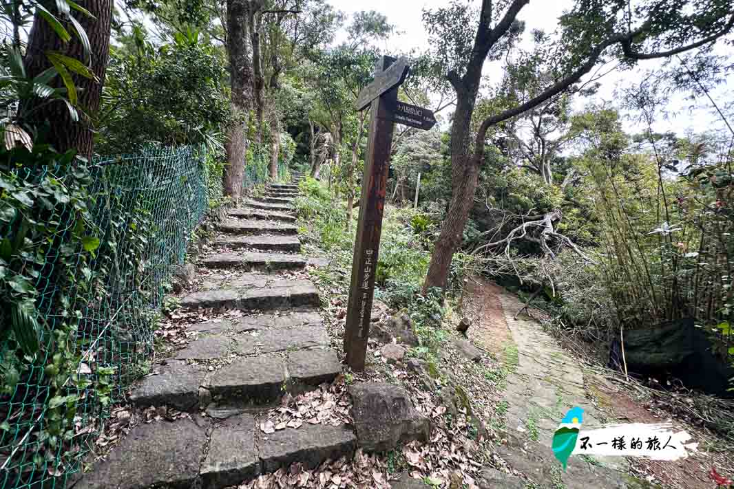陽明山中正山步道岔路
